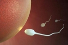 赴美试管如何获得健康的胚胎？美国HRC从3个方面着手